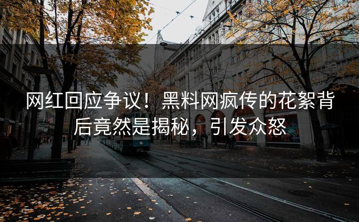 网红回应争议！黑料网疯传的花絮背后竟然是揭秘，引发众怒