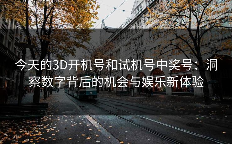 今天的3D开机号和试机号中奖号：洞察数字背后的机会与娱乐新体验