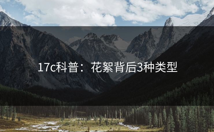 17c科普：花絮背后3种类型