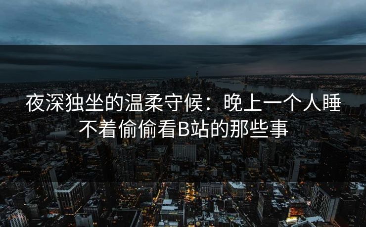 夜深独坐的温柔守候：晚上一个人睡不着偷偷看B站的那些事