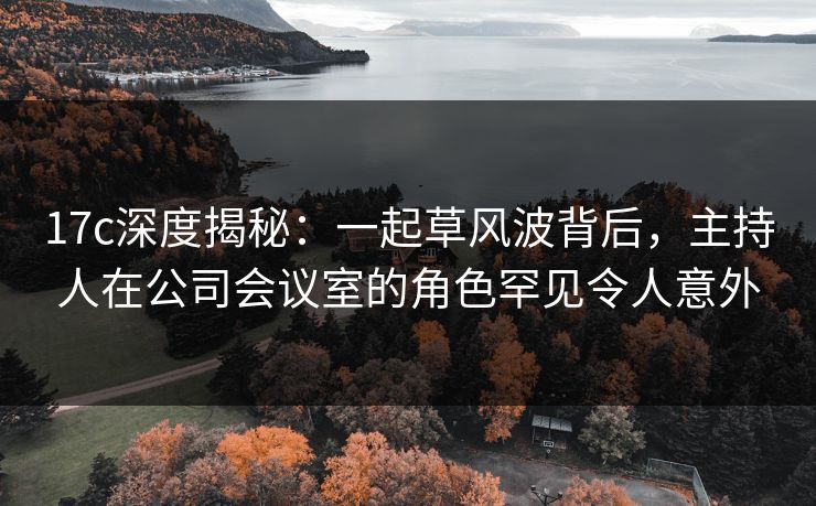 17c深度揭秘：一起草风波背后，主持人在公司会议室的角色罕见令人意外