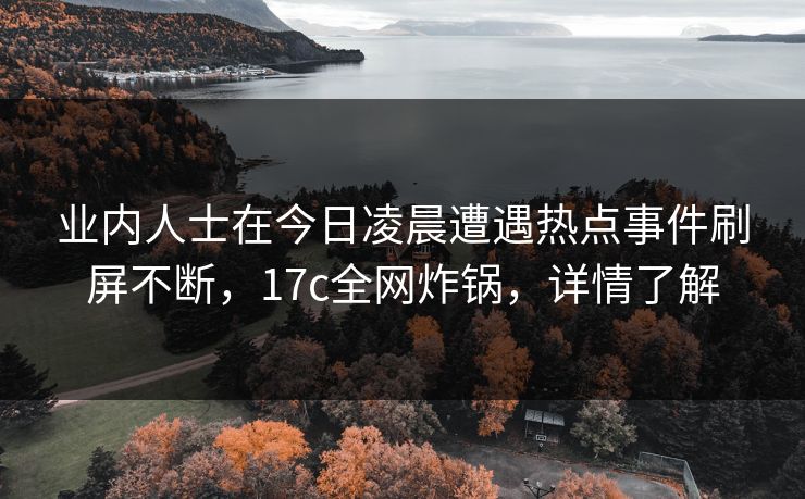 业内人士在今日凌晨遭遇热点事件刷屏不断，17c全网炸锅，详情了解