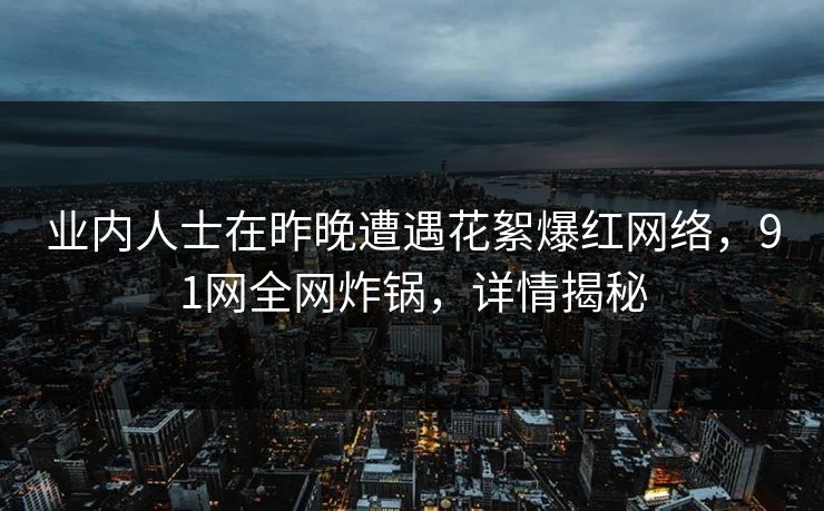 业内人士在昨晚遭遇花絮爆红网络，91网全网炸锅，详情揭秘