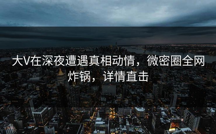 大V在深夜遭遇真相动情，微密圈全网炸锅，详情直击