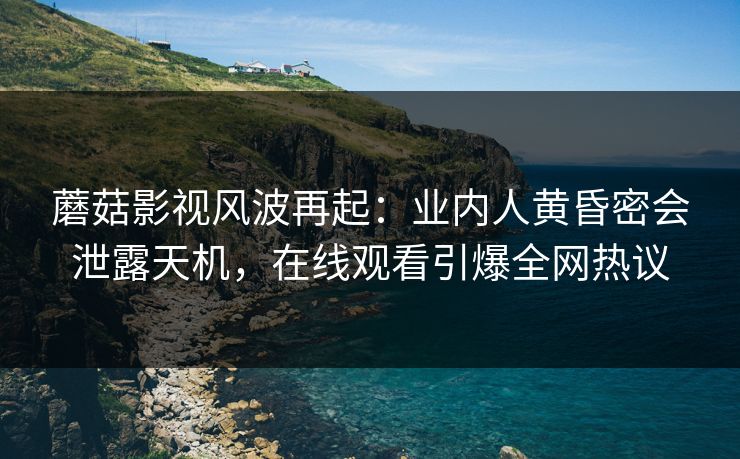 蘑菇影视风波再起：业内人黄昏密会泄露天机，在线观看引爆全网热议