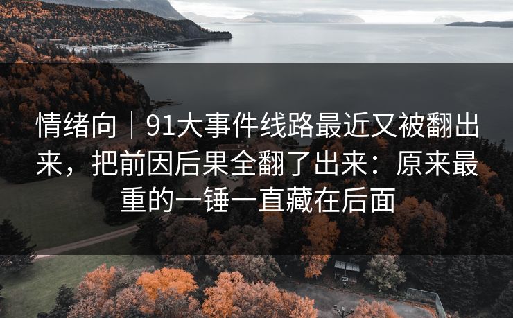 情绪向｜91大事件线路最近又被翻出来，把前因后果全翻了出来：原来最重的一锤一直藏在后面